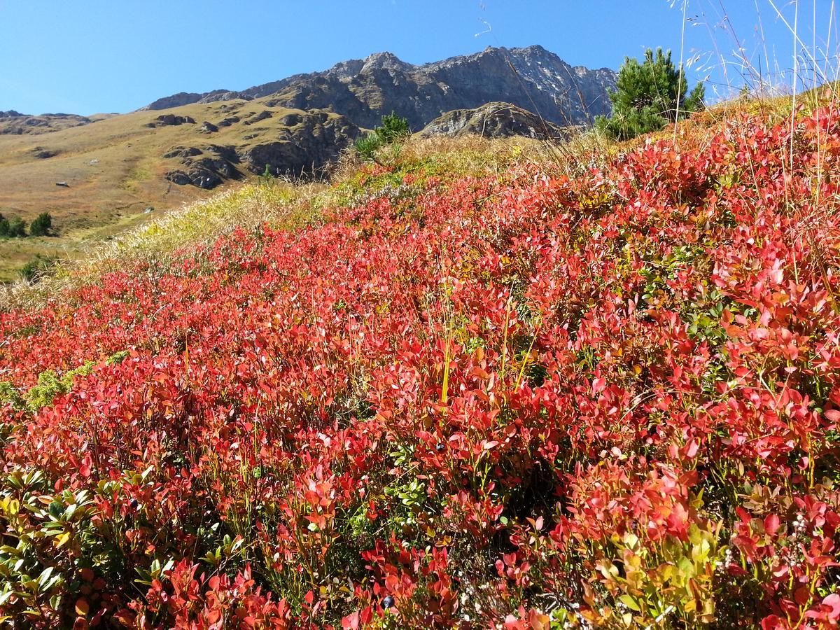 Appartamento Haus Ursula Kals-am Großglockner Esterno foto